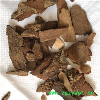 地枫 地枫皮 正品 有大货出售产地 广西壮族自治区 娟子中药图2