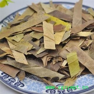 中药材 十大功劳叶功劳叶16元； 枸骨叶图3