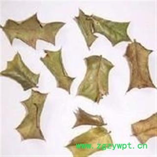 中药材 十大功劳叶功劳叶16元； 枸骨叶图2