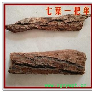 七叶一把伞 倒卵叶六驳 七叶草 正品保证质量7天无理由退货退款 华安堂图4