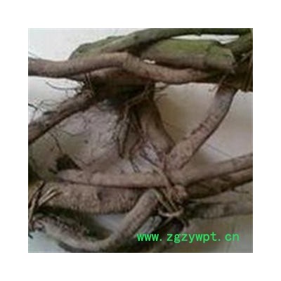 平安药业 买麻藤 正品 优质 促销