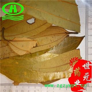 世元药业 肉桂叶 正品 桂皮叶 桂叶【全品除尘中药】图2