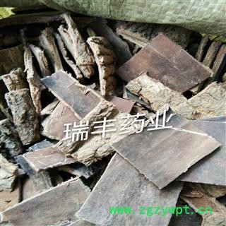 杜仲 统 产地 四川省图3