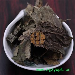 青钱柳叶 统货 产地 江西省图4