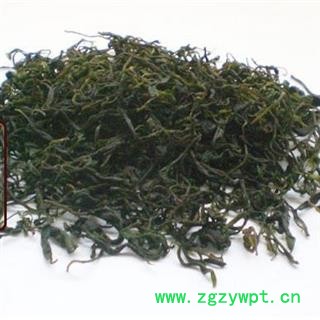 野生苦丁茶 1000克图3