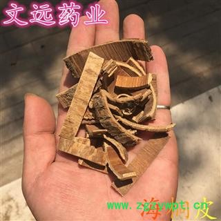 海桐皮 选片 产地 河南省图2