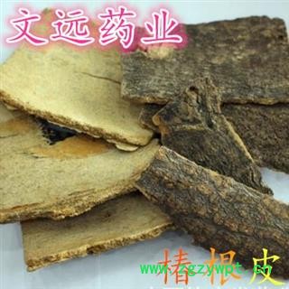 椿皮 椿根皮 春根皮 春树皮 产地 河南省图3