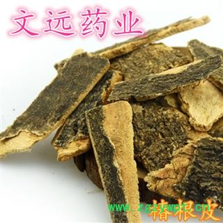 椿皮 椿根皮 春根皮 春树皮 产地 河南省图2