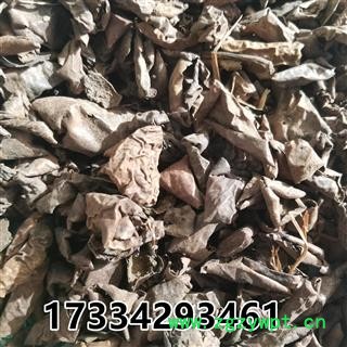 青龙衣 照片 别称-青核桃皮  新货图3