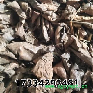 青龙衣 照片 别称-青核桃皮  新货图2