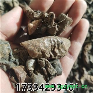 青龙衣 照片 别称-青核桃皮  新货图4