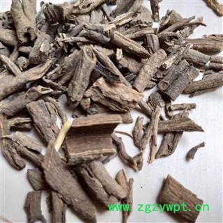 五加皮  南五加皮 选货 产地 甘肃省图2