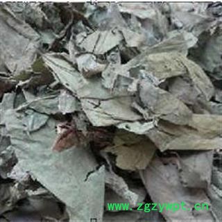 布渣叶 选个 产地 广西壮族自治区图2