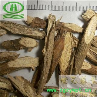 世元药业 宽筋藤 斜片 万筋藤 伸筋藤 红四方藤 春根藤 石松 过山龙 狮子毛草 凤尾伸筋草 通筋草图2