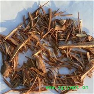 世元药业 文冠木 文冠果木图2