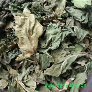 桑叶 青桑叶 铁扇子 蚕叶 青桑叶统货 产地 四川省 批发各种冷背中草药个子图2