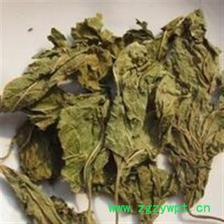 桑叶 霜桑叶 选片  产地 河南省图2