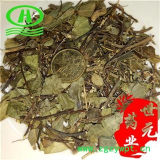 世元药业 络石藤(非石楠藤)别称 石鲮 明石 悬石 云珠 云丹 红对叶肾 白花藤图2