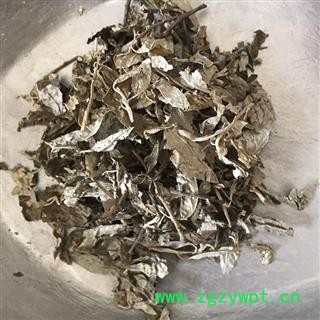 瑞森药材行胡秃子叶 蒲颓叶 胡秃子 鸡卵子 幽谷巨人 半春子 甜棒槌 雀儿酥 羊奶子 羊奶奶 牛奶咪图2