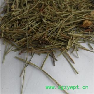 瑞森药材行 松针 松叶图2