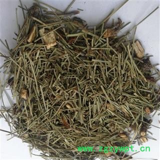 瑞森药材行 松针 松叶图4
