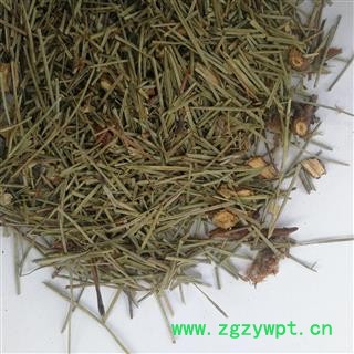 瑞森药材行 松针 松叶图3