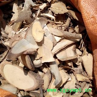 广西壮乡中草药 野生 七叶莲 多蕊木 龙爪树 产地 广西柳州图4