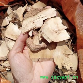 广西壮乡中草药 野生 七叶莲 多蕊木 龙爪树 产地 广西柳州图3