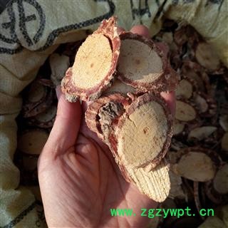 广西壮乡中草药 野生 白血藤 血藤 大血藤 产地 广西柳州图3