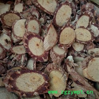 广西壮乡中草药 野生 白血藤 血藤 大血藤 产地 广西柳州图4