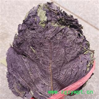 紫苏叶 紫苏叶全叶选货 紫苏梗 产地 江苏省图2