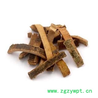 秦皮 厚秦皮 产地 陕西省 买好药找娟子图2