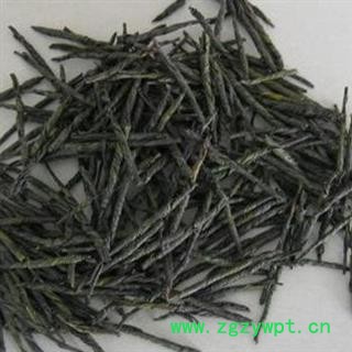 苦丁茶 精选茶用苦丁茶 产地 安徽省黄山市歙县图2