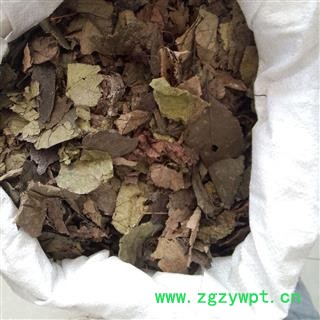 杜仲叶 统 产地 四川省图2