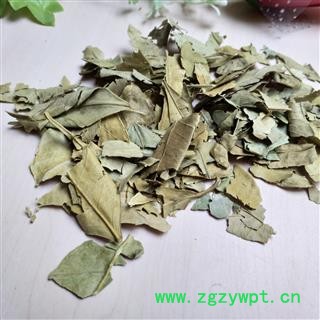 橘叶 橘子叶 金橘叶 橘树叶 统货 产地 浙江省图2