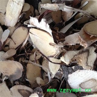 金雀根 木质金雀根 统货 产地 云南省图2