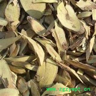 铁包金 勾儿茶 常青藤 乌龙根 乌口仔 小叶铁包金 统 产地 广东省 批发各种冷背中草药个子图2