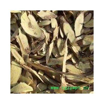 铁包金 勾儿茶 常青藤 乌龙根 乌口仔 小叶铁包金 统 产地 广东省 批发各种冷背中草药个子