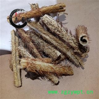 刺五加皮 正品 红毛五加皮选货 抽芯率高 500克1袋图2