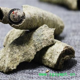 救必应选货白银树皮、九层皮、白兰香药典标准 地道良药馆1000克直销图2