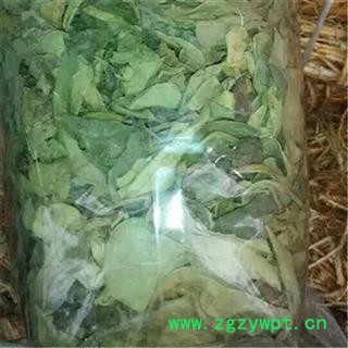 芝春堂龙利叶 正品 别称 龙脷叶龙舌叶 龙味叶 牛耳叶 无污染 药店诊所批发各类冷背图4