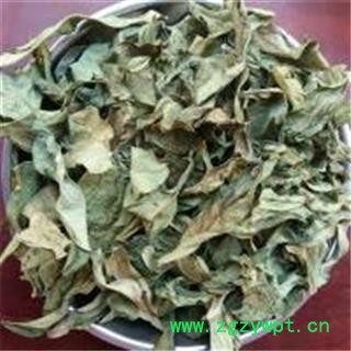 芝春堂龙利叶 正品 别称 龙脷叶龙舌叶 龙味叶 牛耳叶 无污染 药店诊所批发各类冷背图3