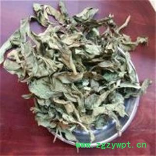 芝春堂龙利叶 正品 别称 龙脷叶龙舌叶 龙味叶 牛耳叶 无污染 药店诊所批发各类冷背图2