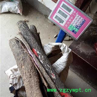 杜仲 大片 产地 河南省平顶山市汝州市图3