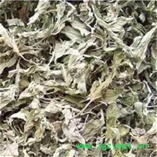 艾叶芝春堂 产地直供艾叶 艾条 医草 艾蒿 灸草 艾草图3