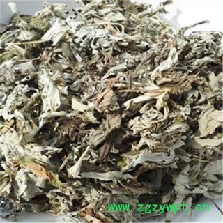 艾叶芝春堂 产地直供艾叶 艾条 医草 艾蒿 灸草 艾草图2