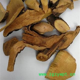 瑞森药材行大叶铁包金 乌龙根、勾儿茶、老鼠耳图2