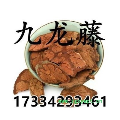 中药材 九龙藤 过岗龙 过江龙 双木蟹 马脚藤 邬郎藤