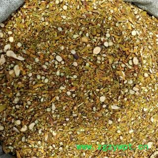 瑞森药材行桑寄生 北寄生槲寄生产地辽宁图2