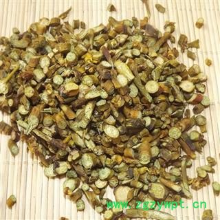 瑞森药材行桑寄生 北寄生槲寄生产地辽宁图3